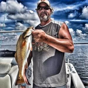 Meet your Posher, Joseph